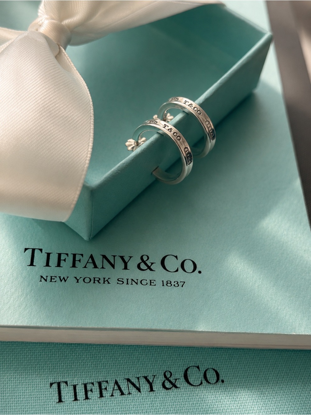 Authentic Tiffany & Co Small Hoop Earrings